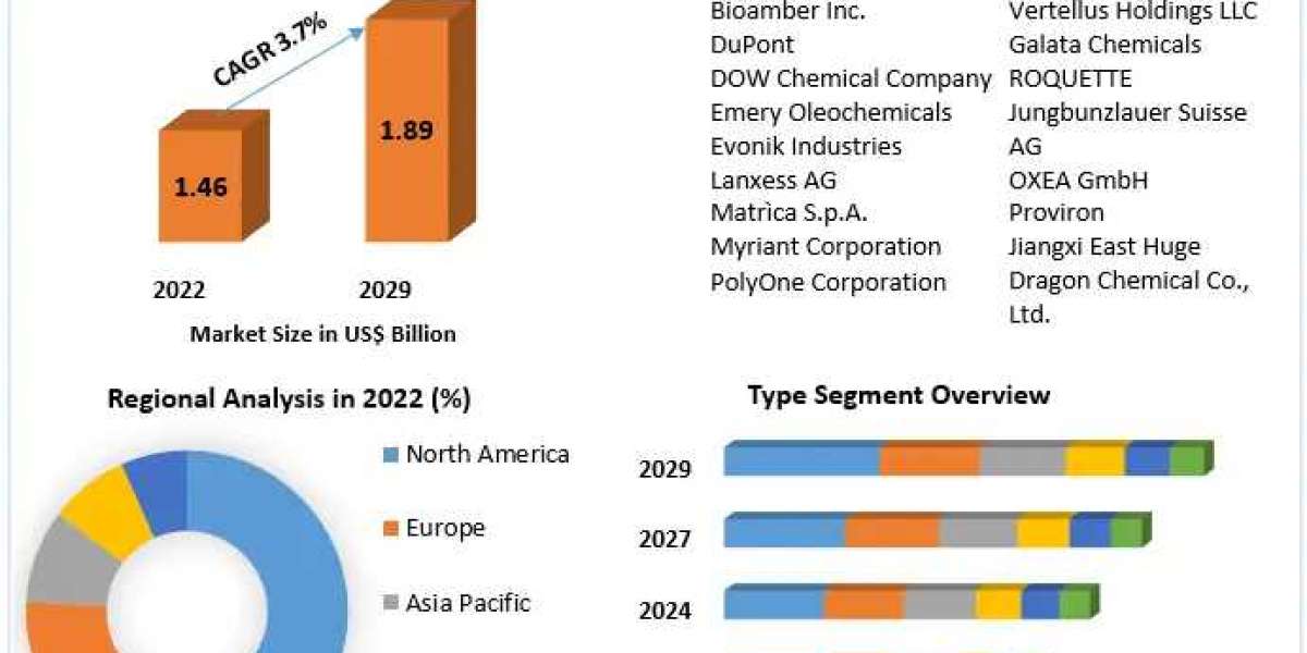 Global Bio Plasticizers Market Future Growth, Competitive Analysis and Forecast 2029