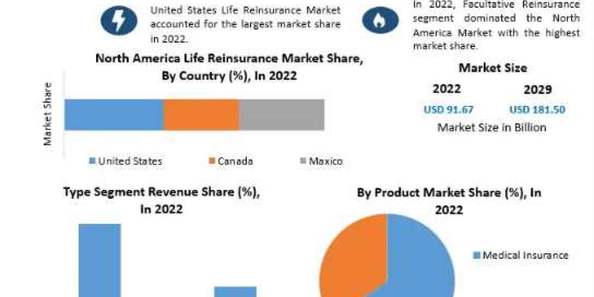 North America Life Reinsurance Market Statistics, Industry Trends, Competition Strategies, Revenue Analysis-2029