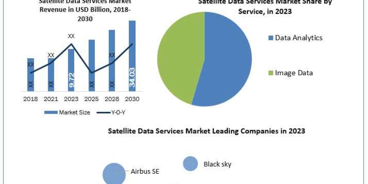 Satellite Data Services Industry Trends, Analysis, Update, Share 2024-2030