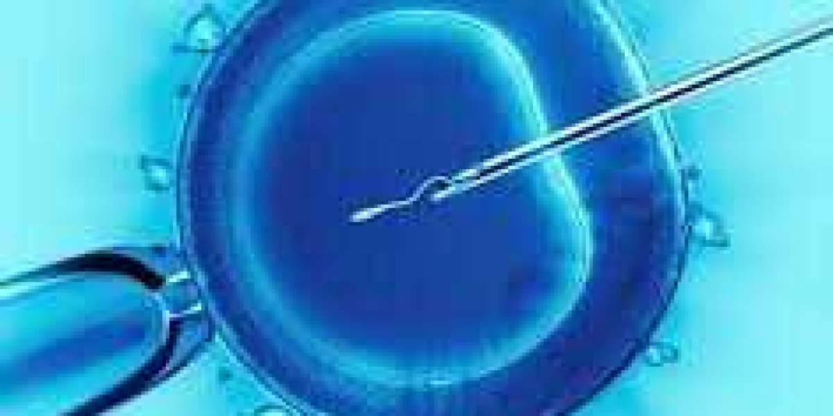 In Vitro Fertilization Market Worth $1024.2 Million by 2032