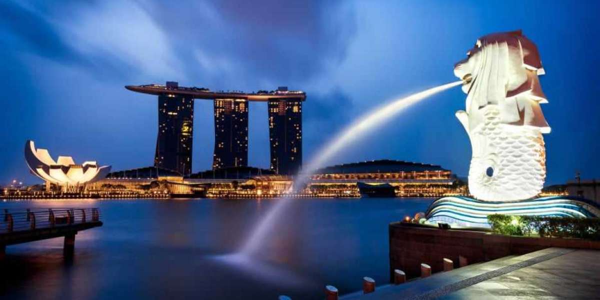 Ontdek een reis vol wonderen Singapore Vacation