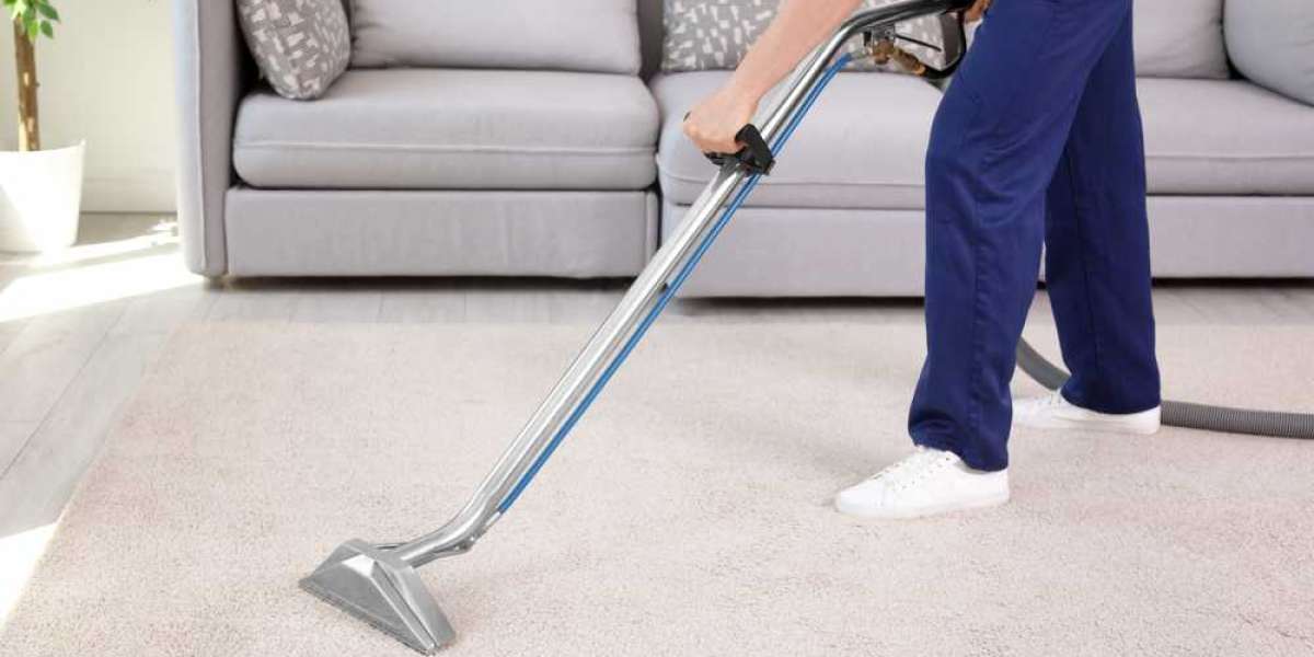 Clean Carpets, Clear Minds: Professional Carpet Cleaning Insights