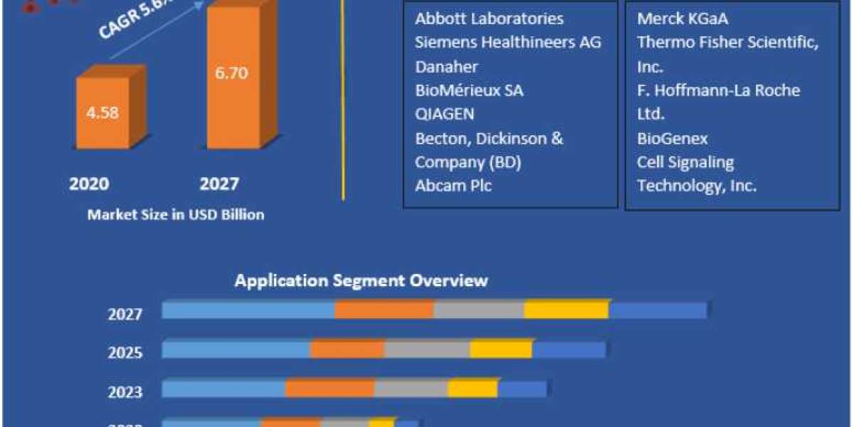 U.S. Tissue Diagnostics Market: Insights into Regional and Application Industry Trends