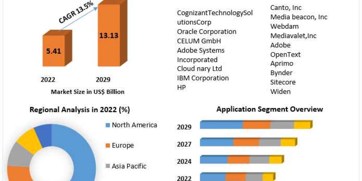 ​Digital Asset Management Market Share, Growth, Industry Segmentation, Analysis and Forecast 2029