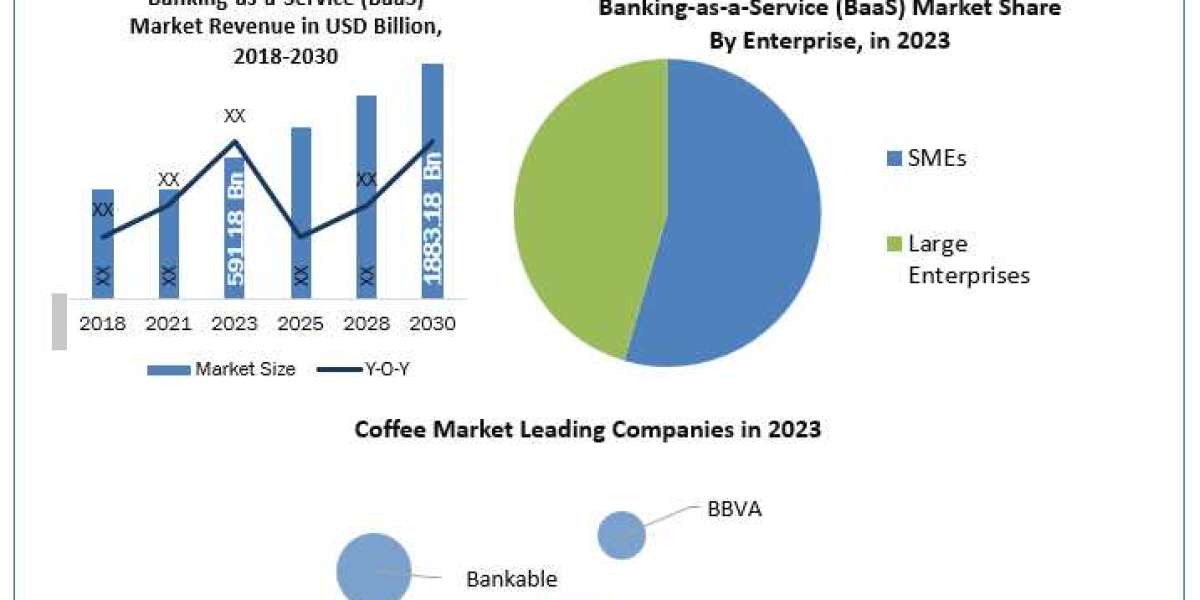 Banking-as-a-Service Industry Size, Share, Growth Drivers and Challenges 2024-2030