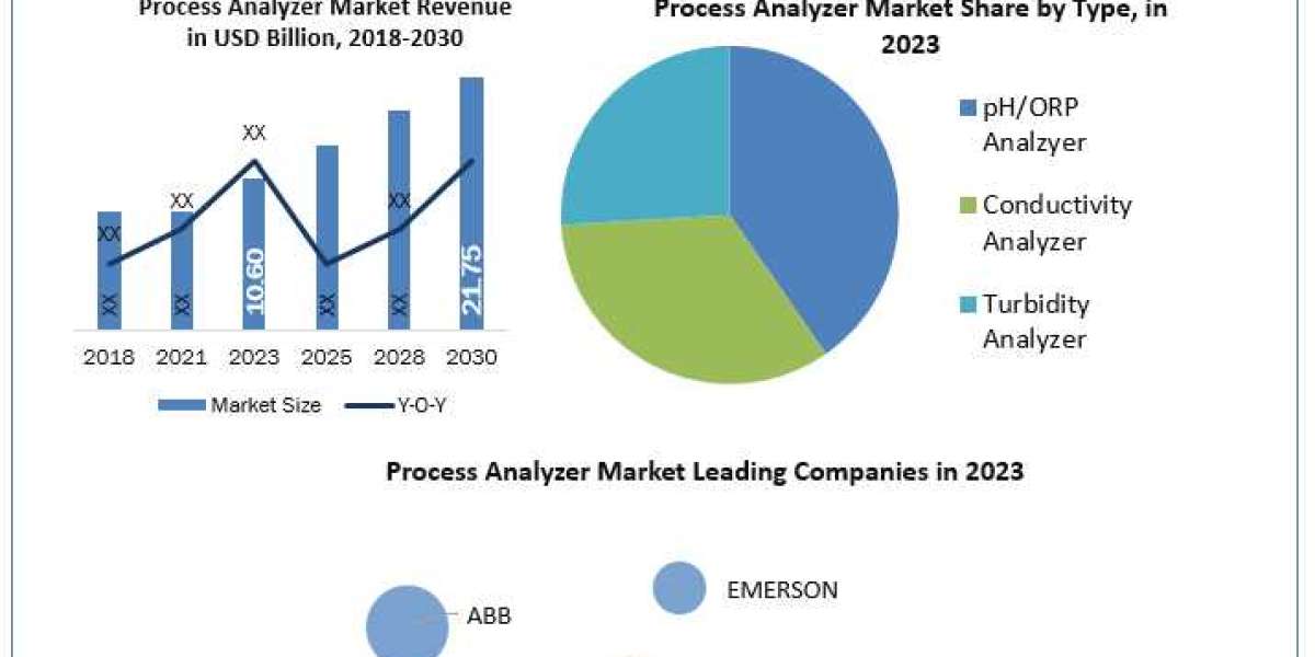 Process Analyzer Market Business Strategies, Revenue And Growth Demands And Industry Forecast Report