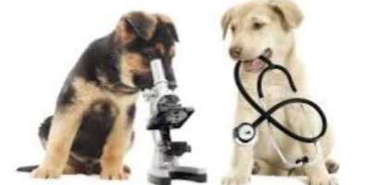 Veterinary Diagnostics Market Worth $4663.51 Million by 2032