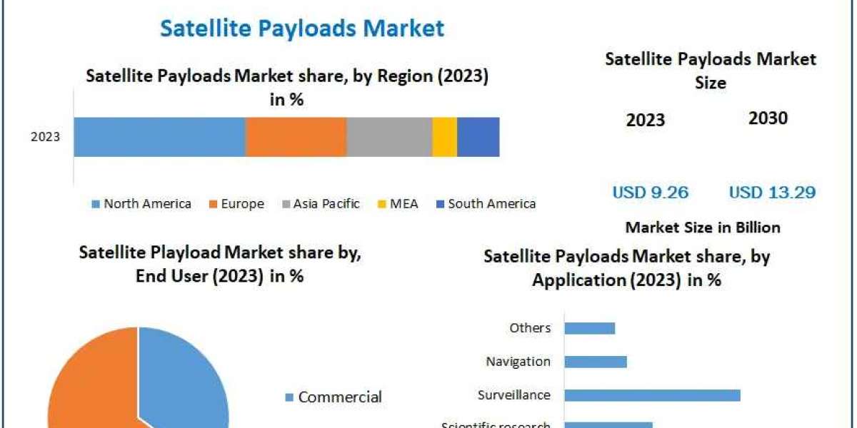 Satellite Payloads Market Strategic Frontiers: Navigating Market Dynamics, Size, and Growth Prospects | 2024-2030