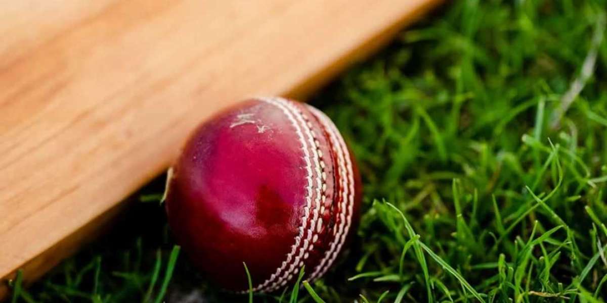 Taj777: India's Premier Online Platform For Cricket Betting And More