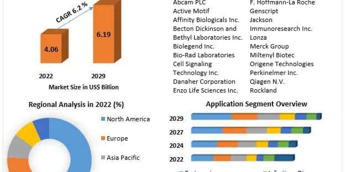 Research Antibodies Market Size, Share, Comprehensive Research Study, Competitive Landscape and Forecast to 2029