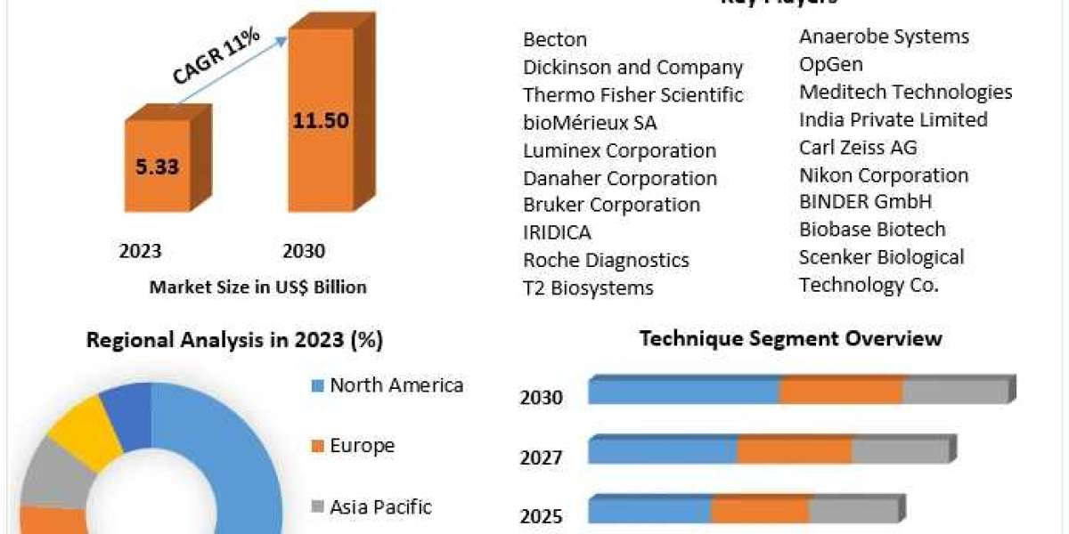 Blood Culture Tests Market Business Strategies, Revenue and Growth Rate Upto 2030