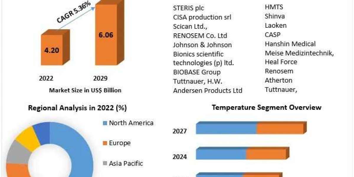 Plasma Sterilizers Market 2029 Key Players and Competitive Landscape