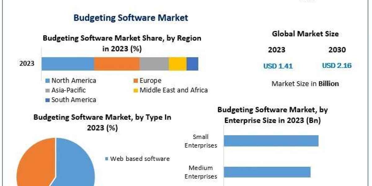 Budgeting Software Market Research, Segmentation, Key Players Analysis And Forecast To 2030