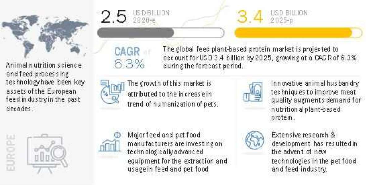 Feed Plant-based Protein Market Size & Share | Forecasts Report and Trend Analysis