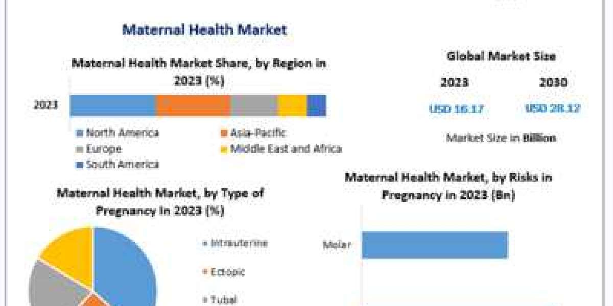 Maternal Health Market Analysis and Forecast 2024-2030: Market Size and Revenue Projections