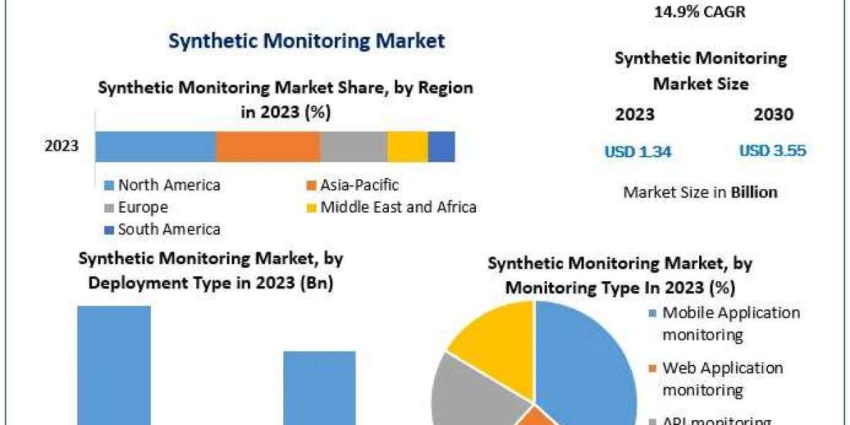 Synthetic Monitoring Market Synergistic Dialogues: Market Size, Share, Trends, and Future Opportunities | 2024-2030