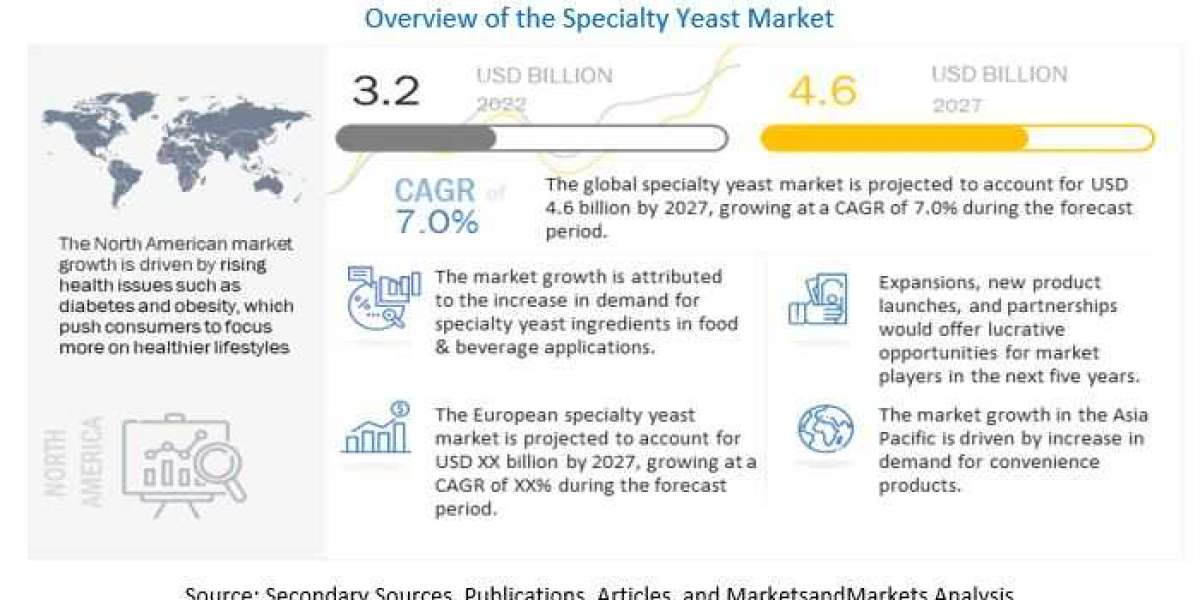 Rising Trends in the Specialty Yeast Market: A Comprehensive Analysis