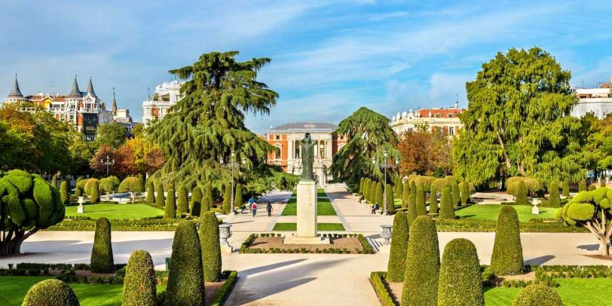 Su guía definitiva sobre los lugares emblemáticos y los consejos de expertos de Madrid
