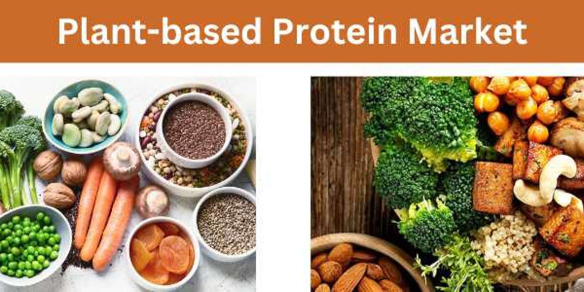 Plant-based Protein Market Statistics, Segment, Trends and Forecast to 2033