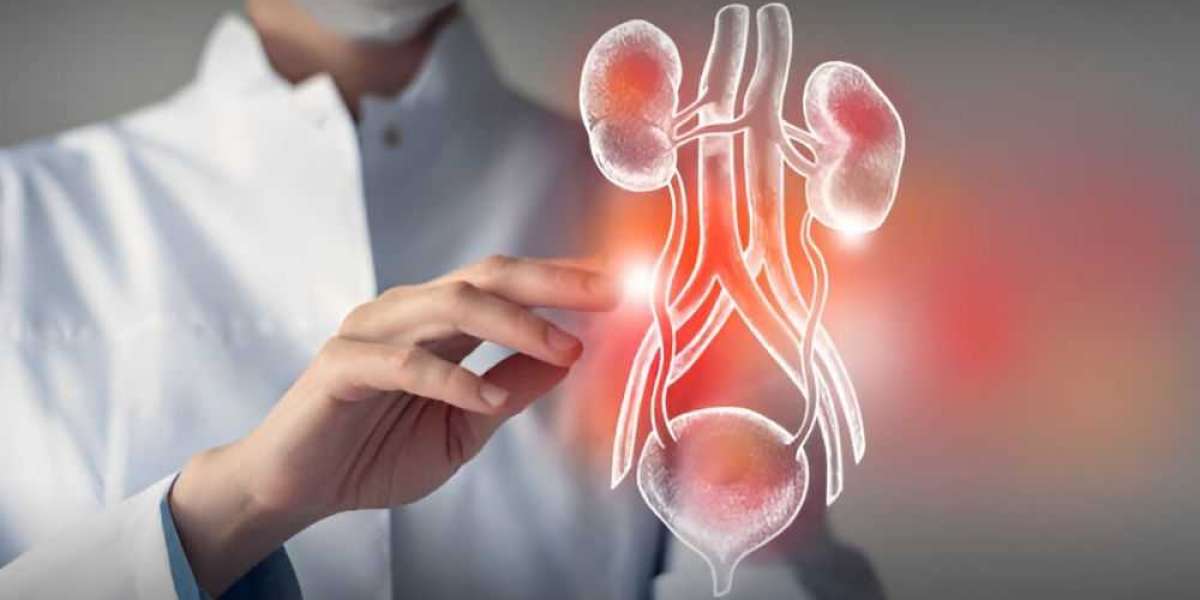 Renal Care Market Growth Set to Surge Significantly to 2030