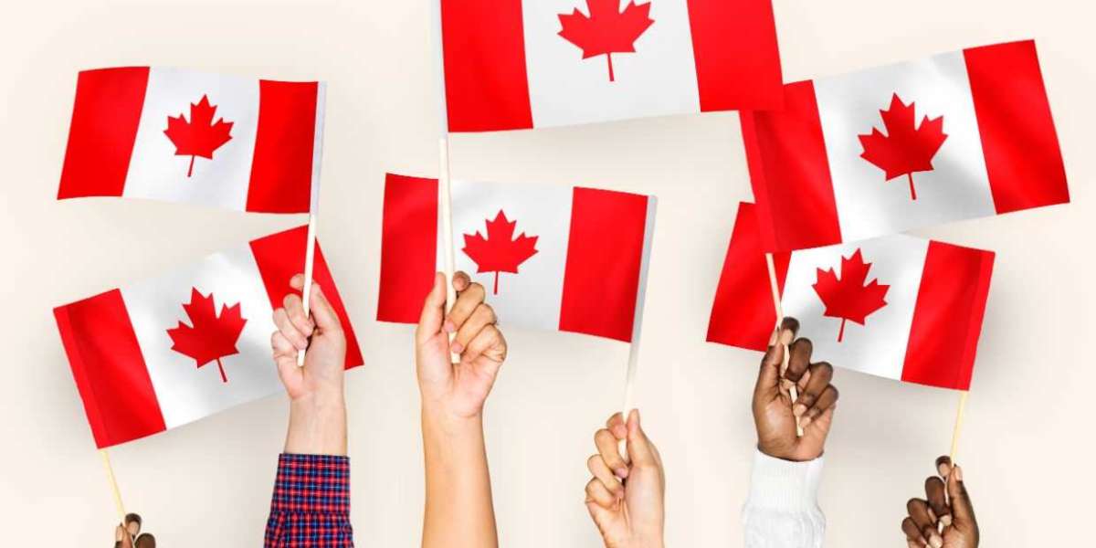 An All Inclusive Guide to Increasing Your Study Permit in Canada