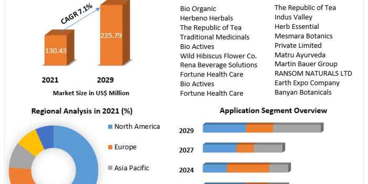 Hibiscus Flower Powder Market Growth Prospects, Future Industry Landscape 2029