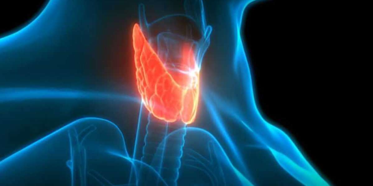 Thyroid Cancer Market Growth Set to Surge Significantly to 2030