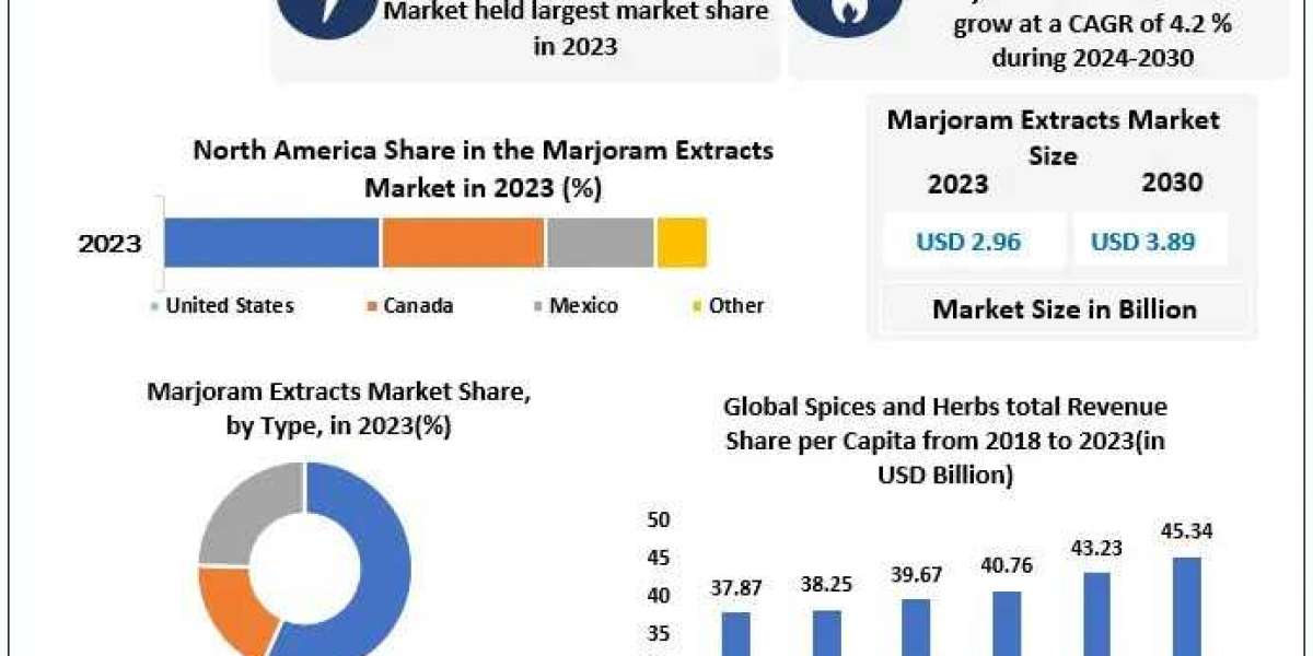 Marjoram Extracts Market Outlook 2030: Innovations and Industry Insights