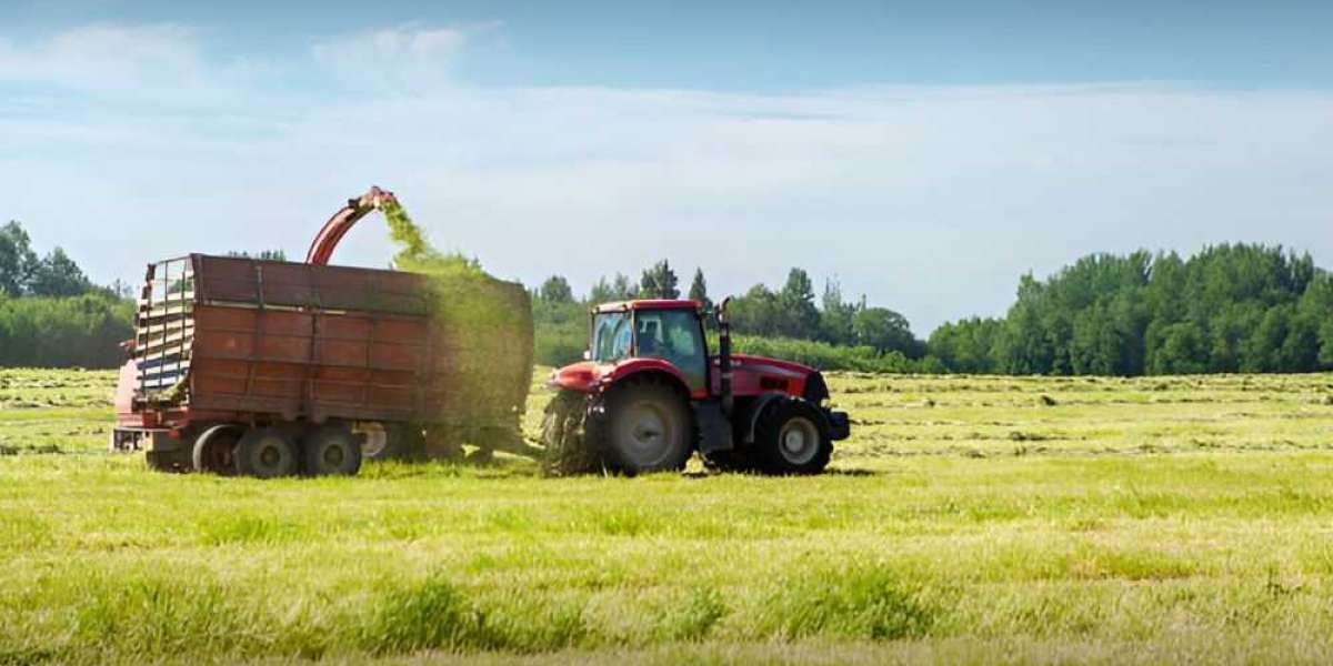 Silage Inoculants market Growing at a Significant CAGR to the Forecast 2030