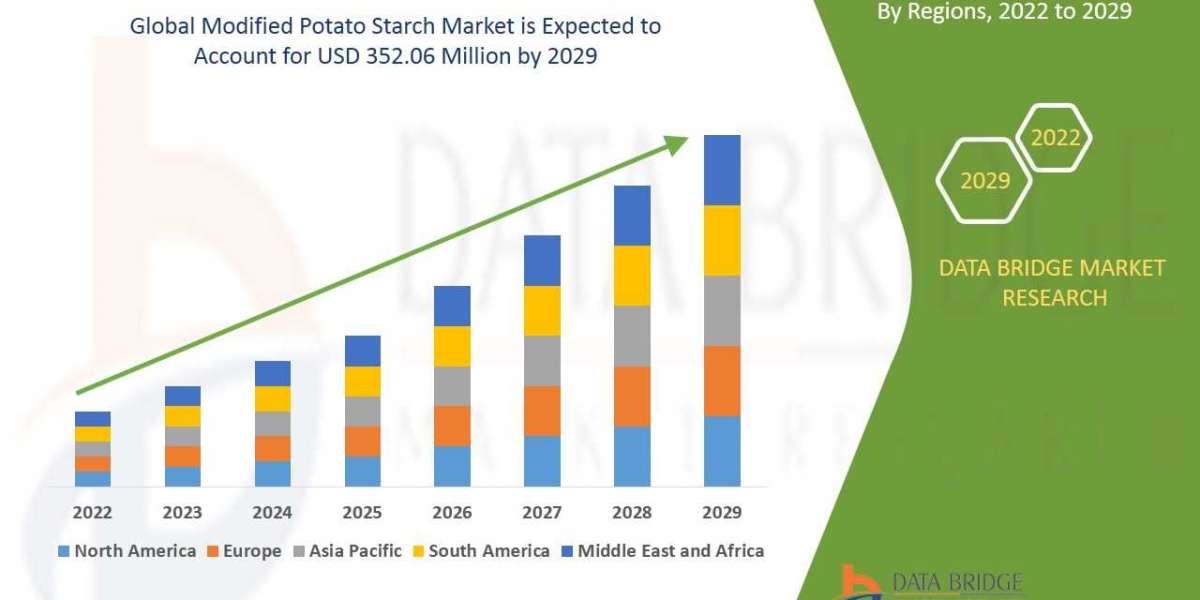 Modified Potato Starch  Market Size, Share, Trends, Growth, Opportunities and Competitive Outlook