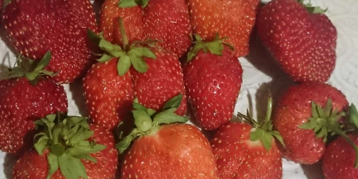 How Strawberries Benefit Women’s Health and Beauty