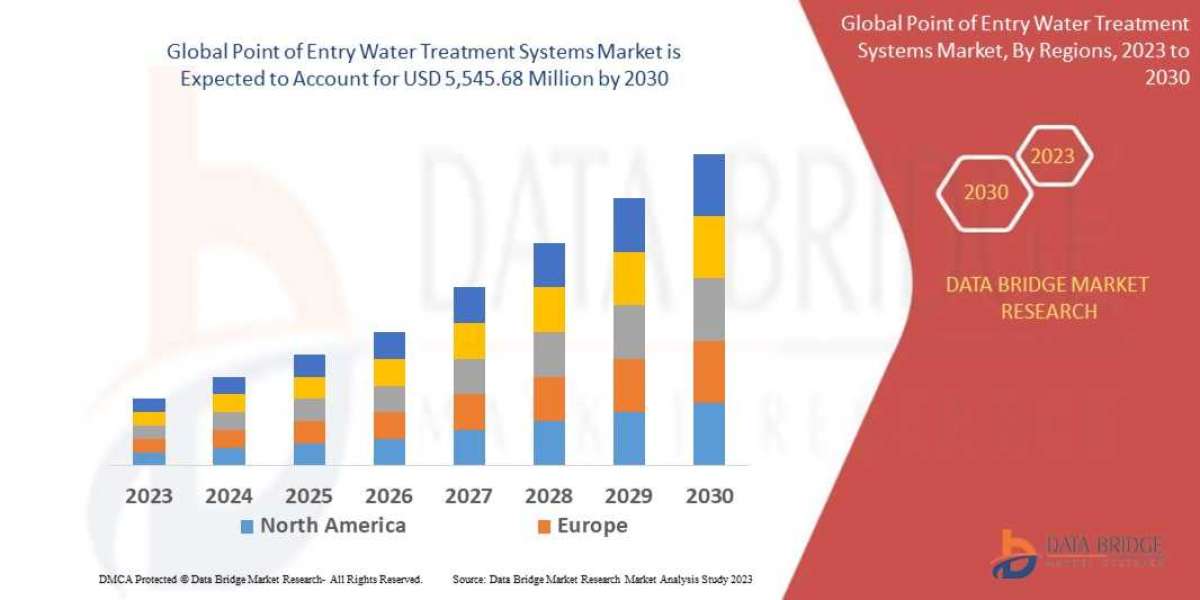 Point of Entry Water Treatment Systems Market Size, Share, Trends, Growth Opportunities and Competitive Outlook