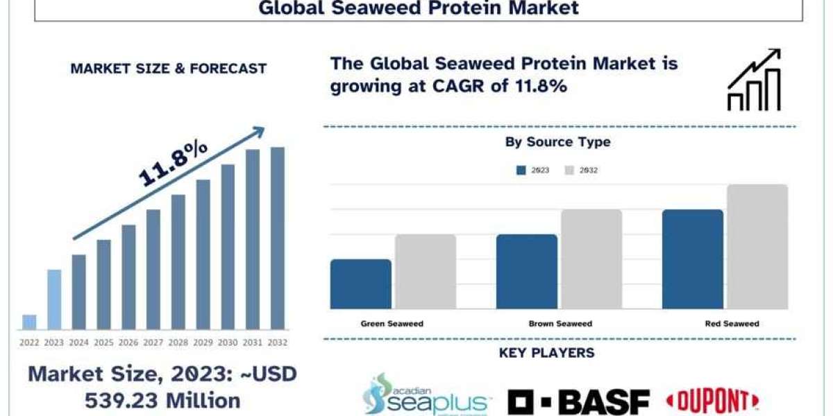 Seaweed Protein Market Analysis by Size, Share, Growth, Trends and Forecast (2024–2032) | UnivDatos