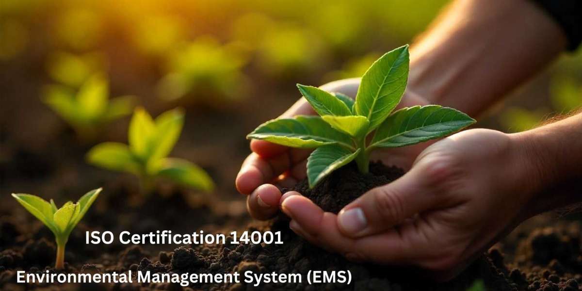 ISO 14001 Certification: Commitment to Environmental Management