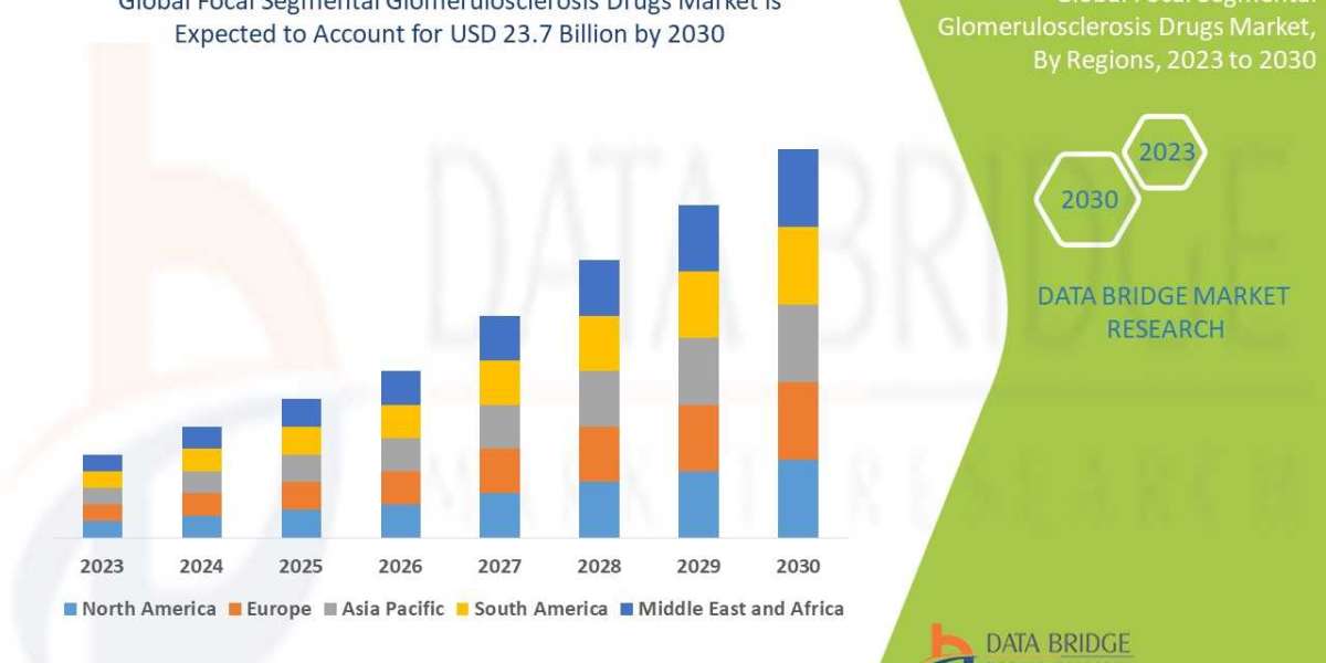 Focal Segmental Glomerulosclerosis Drugs Market Size, Share, Trends, Key Drivers, Demand and Opportunity Analysis