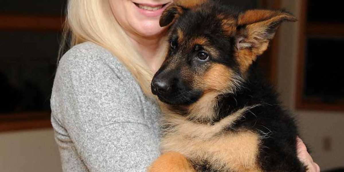 Deutscher Schäferhund Pflege: Ein umfassender Leitfaden für potenzielle Hundehalter