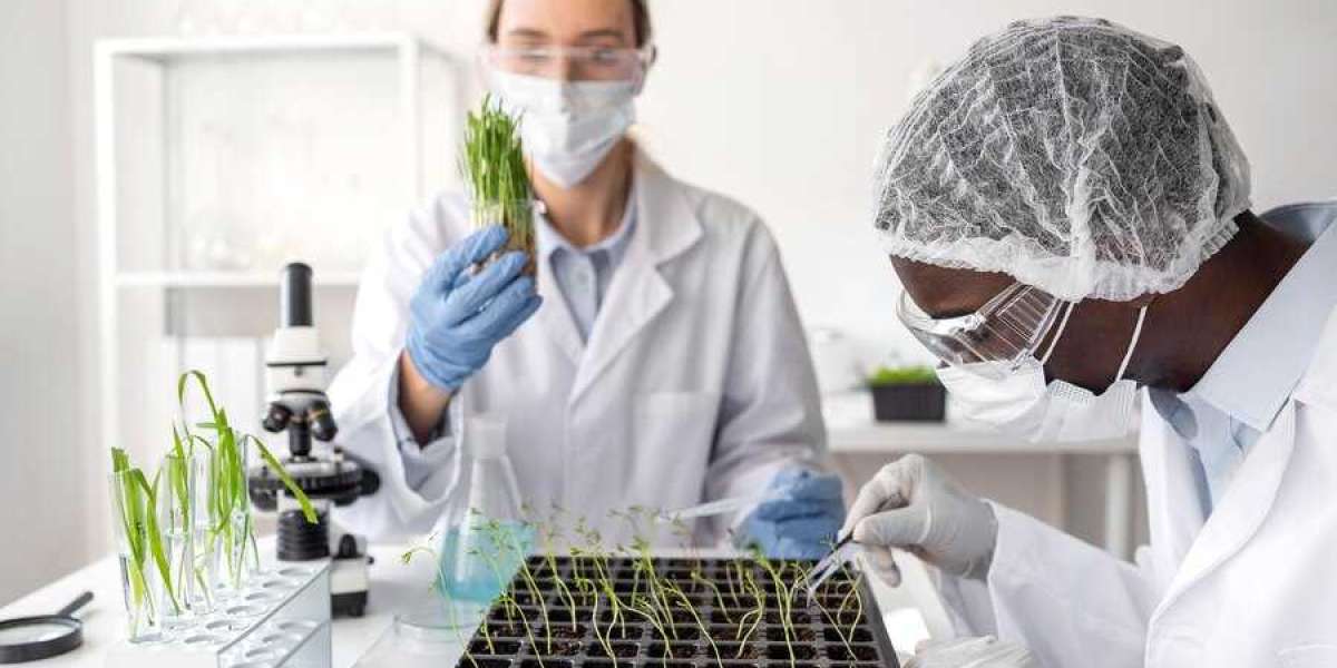 The Rise of Biocontrol Agents Market: A Sustainable Future for Agriculture